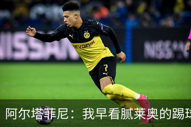 阿尔塔菲尼：我早看腻莱奥的踢球方式，仿佛上场踢球是在施舍别人